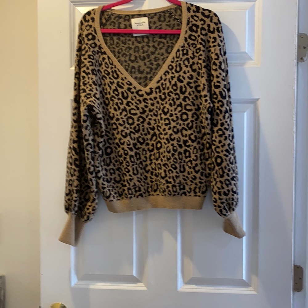 Stretchy Leopard V Neck Sweater.